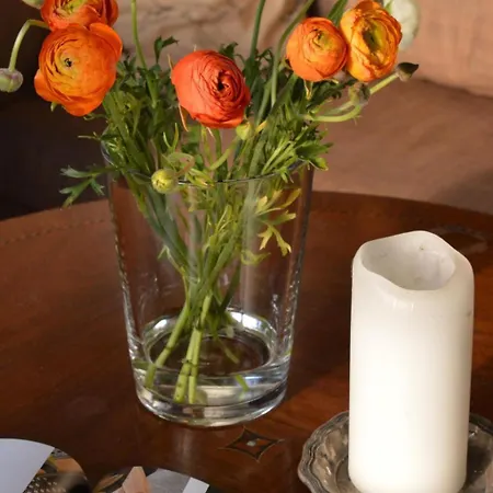 In Mit Grossem Garten By Interhome *