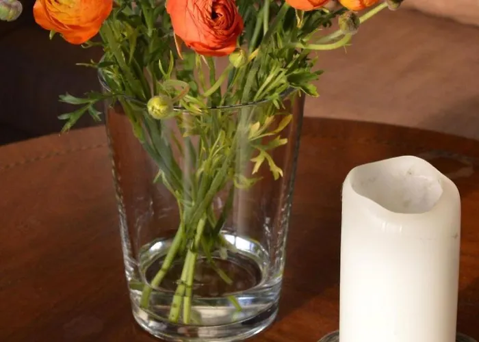 In Mit Grossem Garten By Interhome *